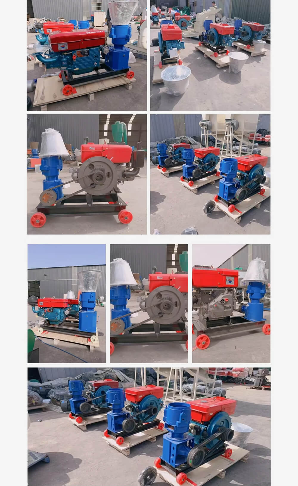 Diesel Feed Pellet Machine