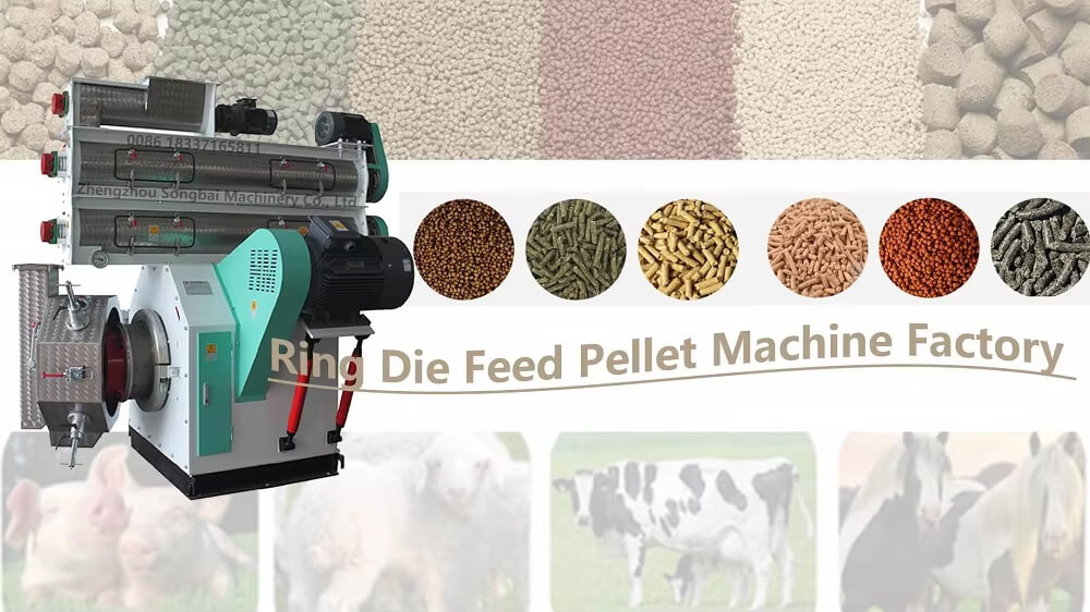 Ring Die Feed Pellet Machine