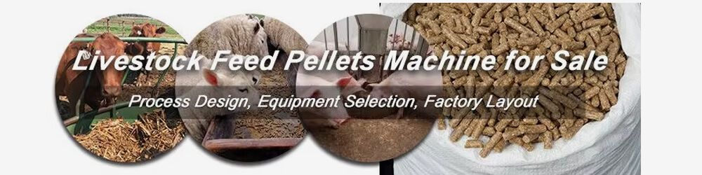 Ring Die Feed Pellet Machine