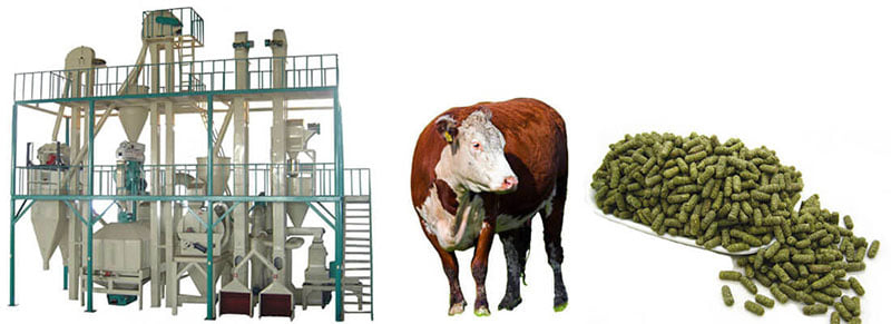 cattle-feed-pellet-machine