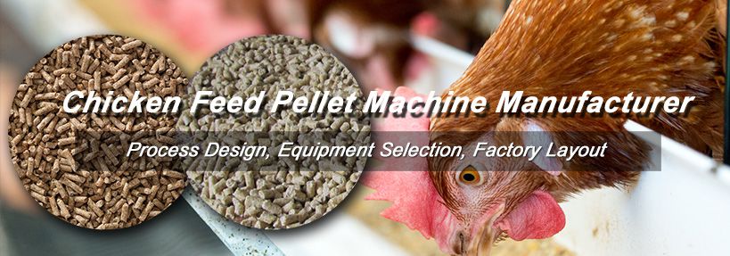 make chicken feed pellets