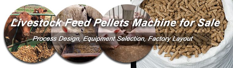 livestock-feed-pellet